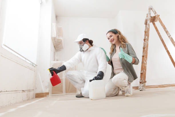 Best Mold Prevention Services  in West Slope, OR